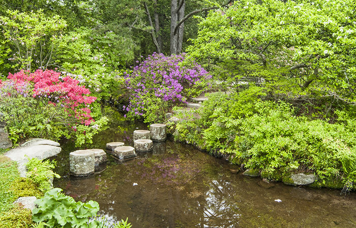 Things to do in Maine - beautiful garden 