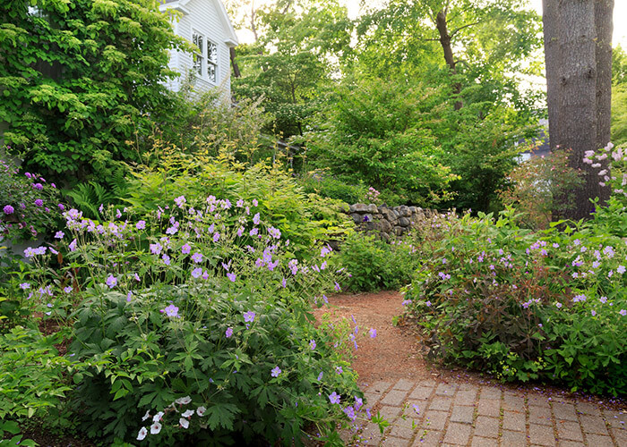 The garden at our Maine bed and breakfast