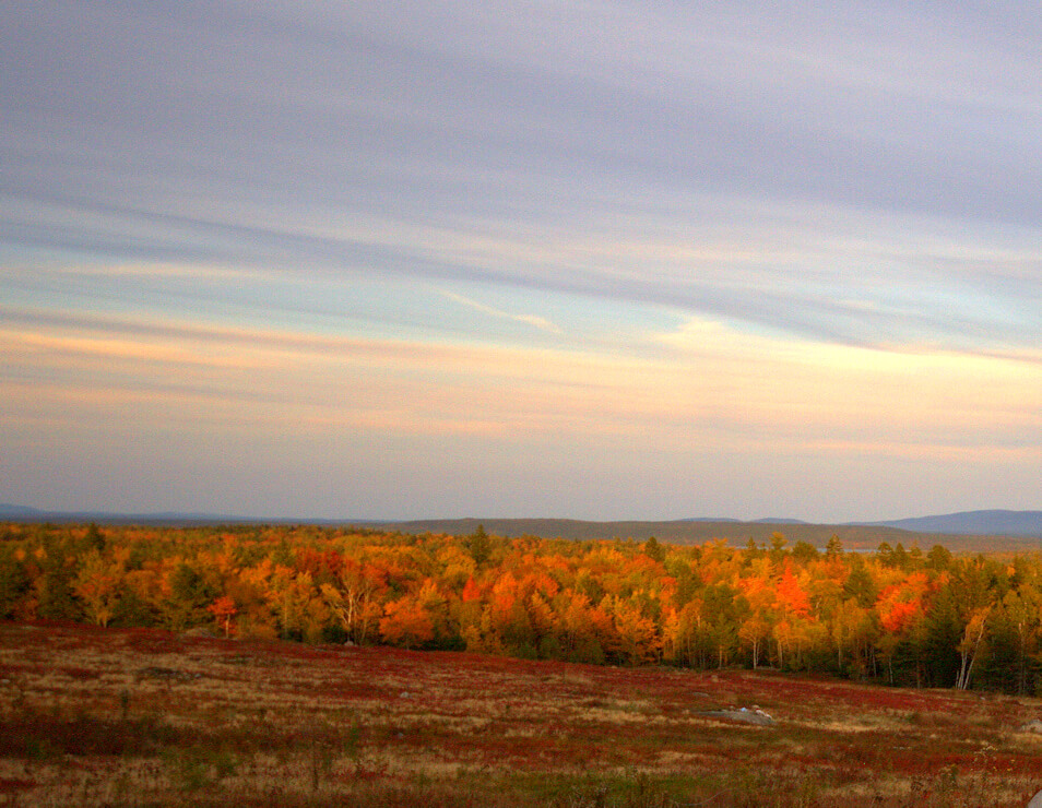 Fall foliage in Maine