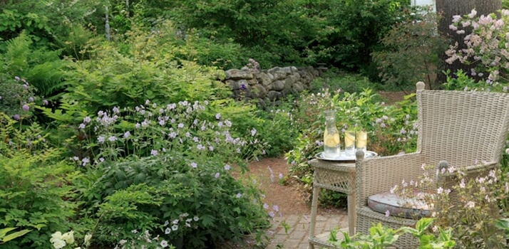 Pet Friendly Maine - Our Gardens