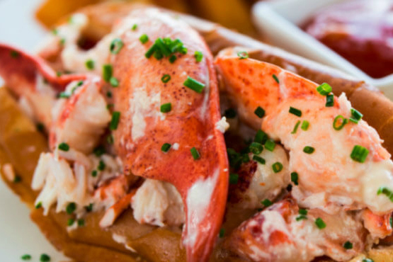 Maine Lobster Rolls